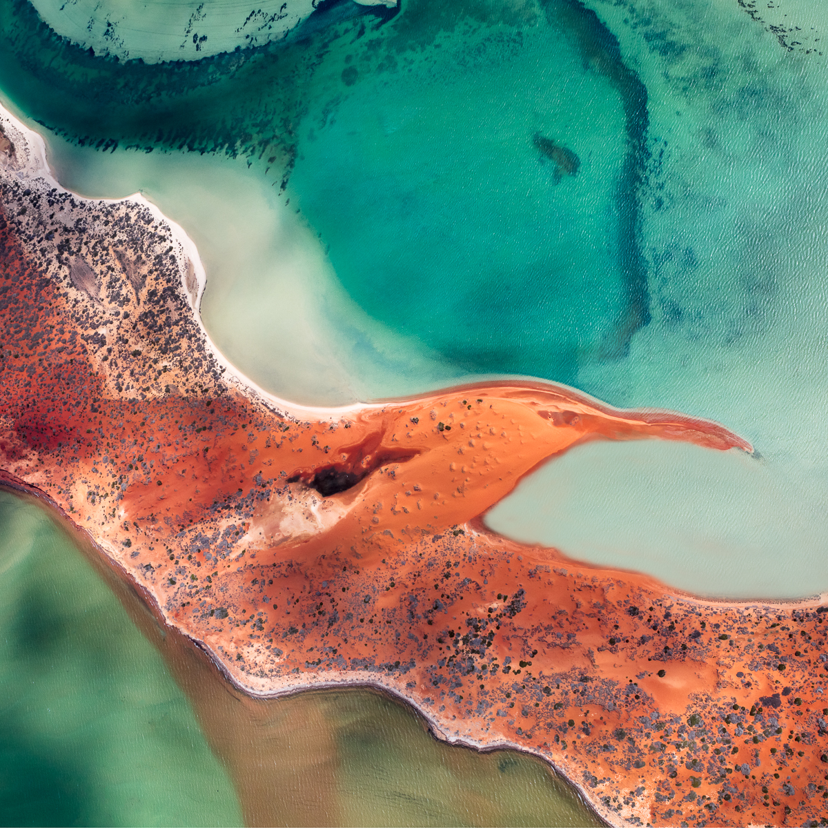 A creative take on an aerial photo of the Shark Bay World Heritage region